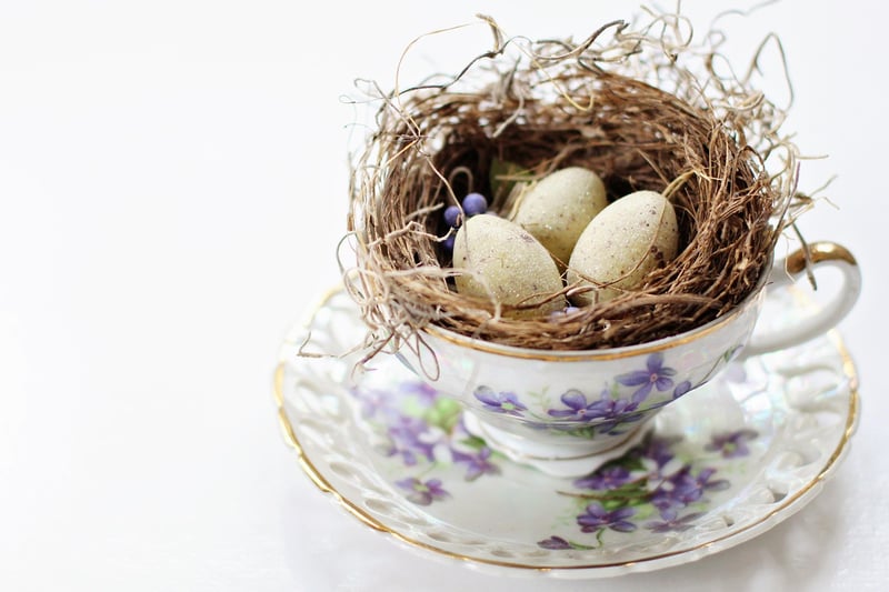 Renewed Decor Projects