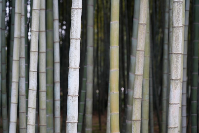 Eco-Friendly Bamboo Utensil Set